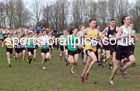 Senior Mens 2023 UK CAU Inter Counties Cross Country Champs, Prestwold Hall, Loughborough. Photo: David T. Hewitson/Sports for All Pics